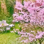 Im Haus Amselgarten アパート ミッヒェルドルフ