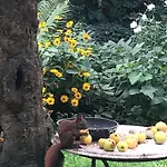 Im Haus Amselgarten ミッヒェルドルフ