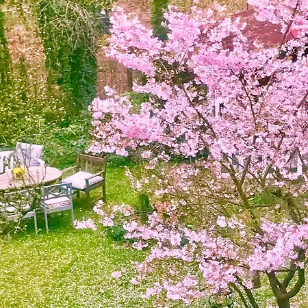 Im Haus Amselgarten Apartmán Michendorf