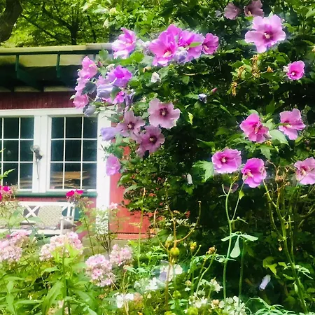 Im Haus Amselgarten