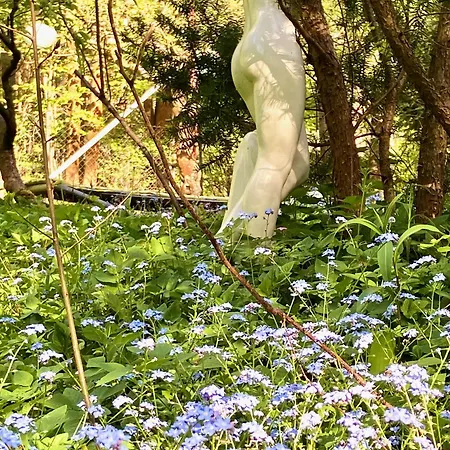 Apartmán Im Haus Amselgarten