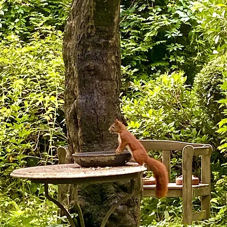 Im Haus Amselgarten