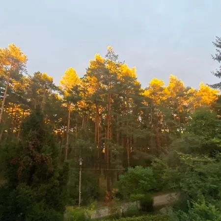 Im Haus Amselgarten Lägenhet Michendorf