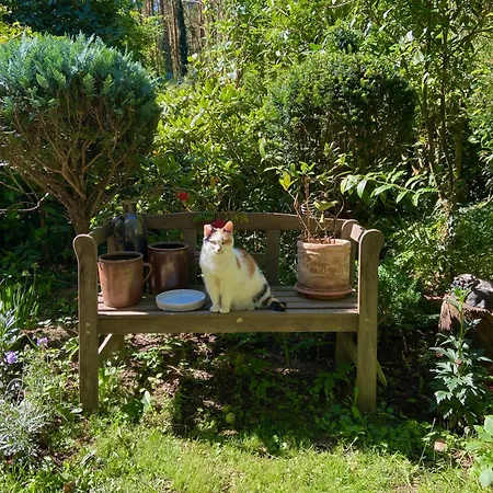 Apartmán Im Haus Amselgarten Michendorf