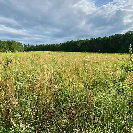 Im Haus Amselgarten * Michendorf