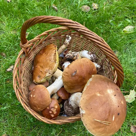 Im Haus Amselgarten Apartmán