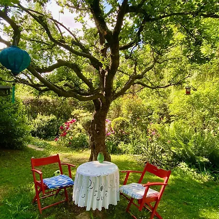 Im Haus Amselgarten Apartmán *