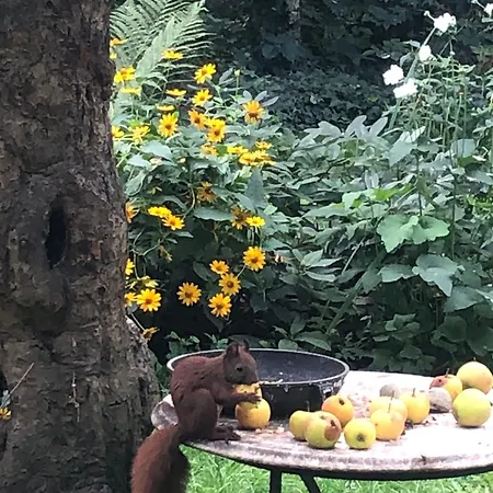 Im Haus Amselgarten Michendorf