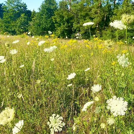 Im Haus Amselgarten Apartmán