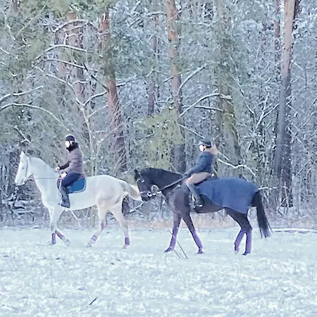 Apartmán Im Haus Amselgarten *