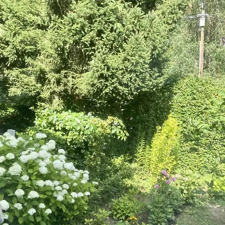 Daire Im Haus Amselgarten