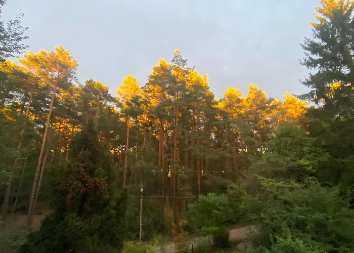 Im Haus Amselgarten Apartamento Michendorf