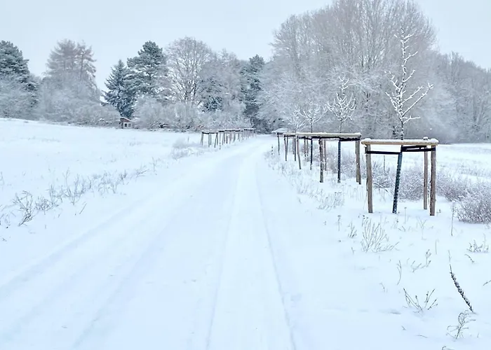 Im Haus Amselgarten *