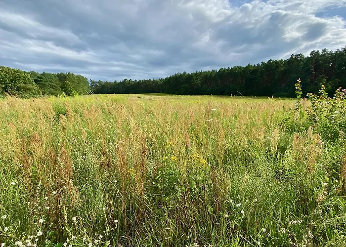Im Haus Amselgarten * Michendorf