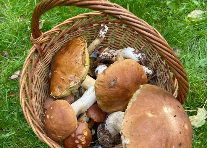 Im Haus Amselgarten Apartamento