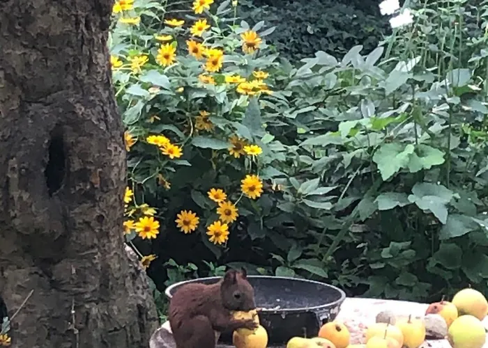 Im Haus Amselgarten Michendorf