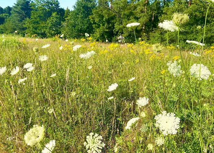 Im Haus Amselgarten Apartamento